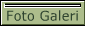 Foto Galeri